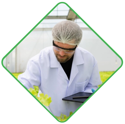 About Us Home Farmisto Chemicals